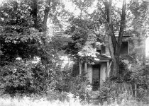 Abram's Delight, overgrown